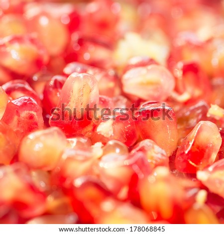 Pomegranate fruit Organic Bio fruits