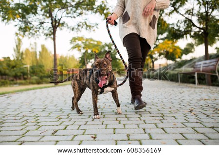 low view of an anonymous woman walking a dog at a park