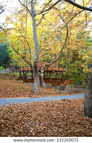 Picnic site with many benches and stone construction for  barbecue in the oak forest in mountain