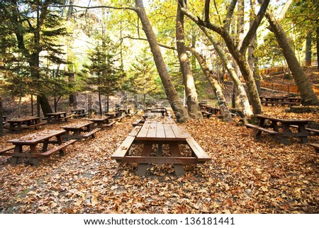 Picnic site with many benches  for  barbecue in oak forest in mountain Trodos,Cyprus
