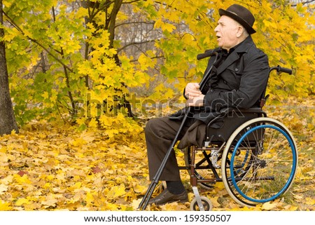 Retired handicapped man in an autumn park sitting in his wheelchair enjoying the peace of being out in nature amongst the colourful yellow trees