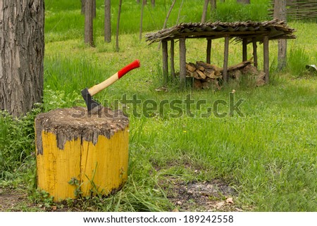 Chopper inserted into an old chopping block on a lush green campsite with scattered wood chips from chopping the wood for the barbecue and an old rustic lean-to visible behind, no people