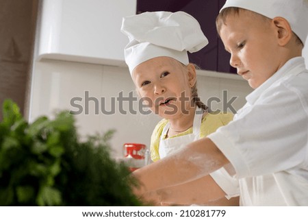 Two Cute Young Home Chefs Preparing Food at the Kitchen