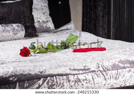 Romantic gift and single long stemmed red rose in a bedroom symbolising love for celebrating an anniversary or Valentines Day with a loved one