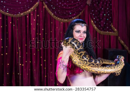 Exotic Dark Haired Belly Dancer Holding Large Snake on Stage with Red Curtain in Background