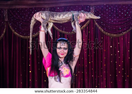 Portrait of Exotic Dark Haired Belly Dancer Wearing Bright Costume Holding Small Alligator Above Head While Standing on Stage with Red Curtain