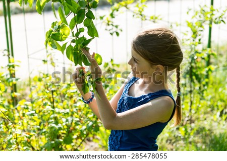 Waist Up of Inquisitive Young Girl with Braid Wearing Blue Tank Top Inspecting Leaves on Lush Green Tree Branch Outdoors on Sunny Summer Day