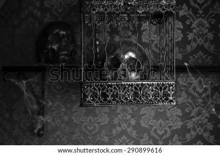 Close Up of Shiny Gothic Skull Imprisoned in Ornate Metal Cage Inside Eerie Room with Patterned Wallpaper and Covered in Cobwebs
