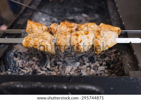 Close Up of Skewered Meat Kebabs Cooking Over Exposed Hot Barbeque Coals on Outdoor Grill