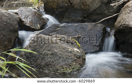 Flowing creek waterfall