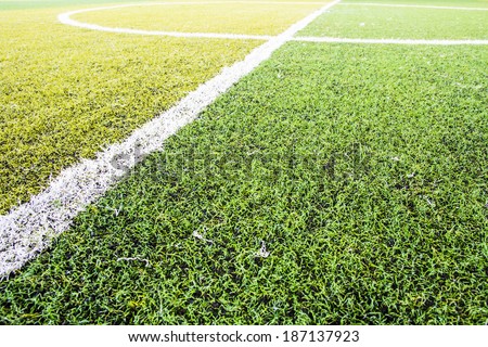 Close up green grass for football sport, football field, soccer