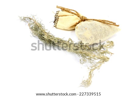 medical herb wormwood and linen bag for conservation