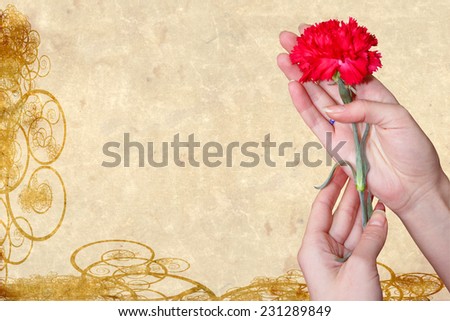 abstract scene of the flower carnation in feminine hand