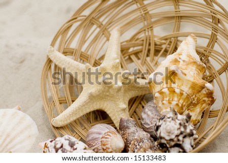 starfish, shells and basket on sand