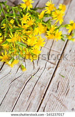 wild yellow flowers closeup on rustic wooden background