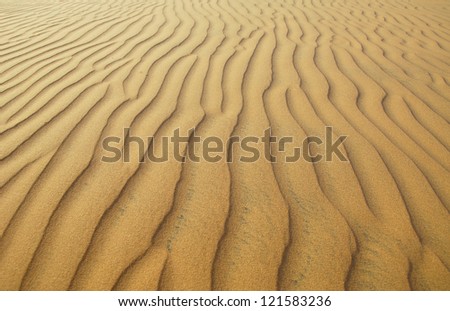 The desert background