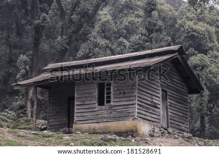Wood cabin at forest