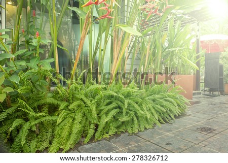 Coffee shop with garden , nature decoration style