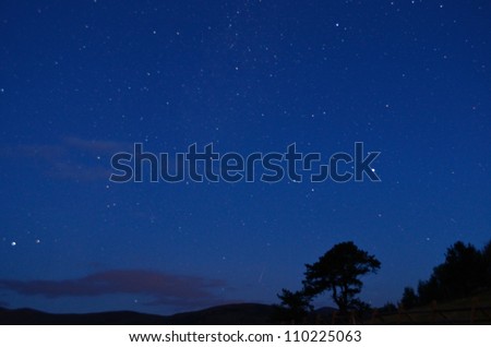 early morning stars