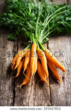 Raw carrot with green leaves on wooden background