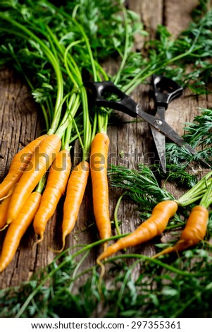 Raw carrot with green leaves near scissors on wooden background