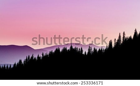 Silhouettes of pine trees at the mountain background. Abstract background nature photography. Colorful clouds at sunset.