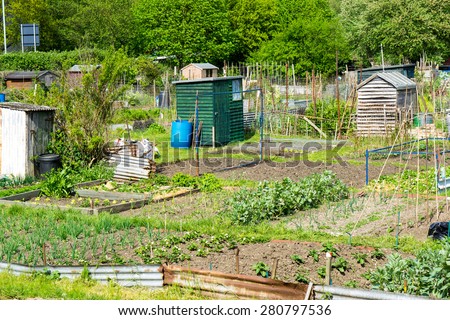 Plots of land cultivated by the tenants for food production
