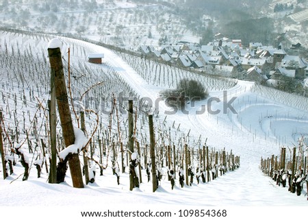 Winter view of  snow covered vineyards with german village in the distance
