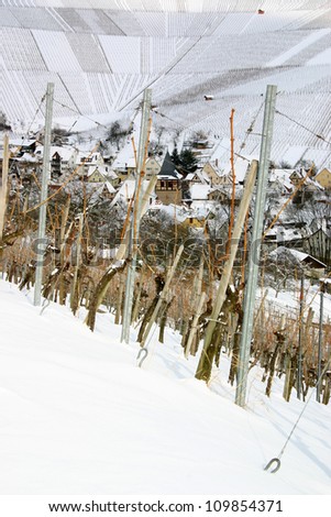 Winter view of  snow covered vineyards with german village in the distance