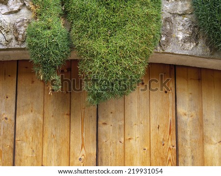 moss on european stone and wood architect