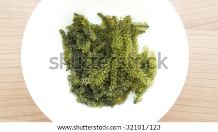 Sea grape seaweed, uni budou. japanese ocean seaweed food. great food for vegan and vegetarian