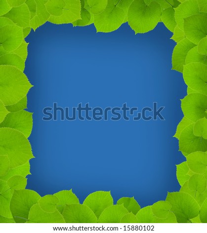 green leafs-frame on blue background. clipping path included