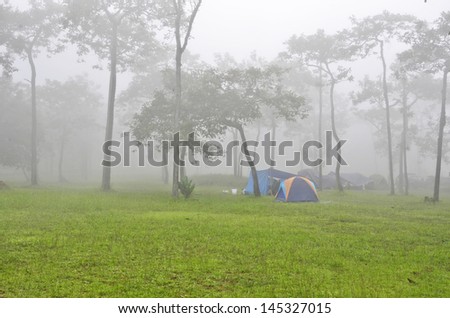 Green grass and camping tents in the fog