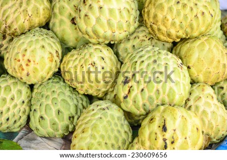 Sugar apple group for sale