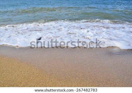 White sponge and water on the beach