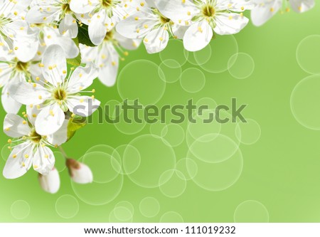 background with cherry blossom for design