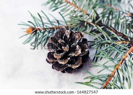 Christmas background. spruce branch with cones in the snow closeup