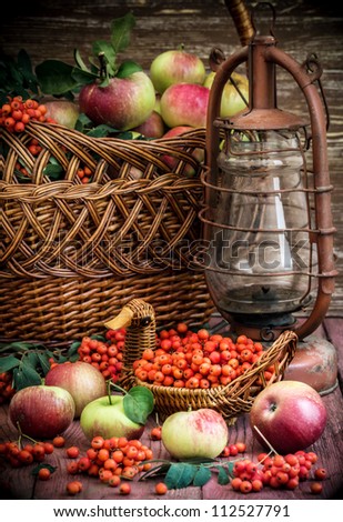Autumn still life.\
Still-life with a mountain ash and apples.