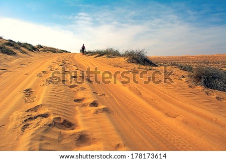 WAHIBA DESERT, OMAN - JANUARY 29: Two unidentified runners running in desert, in sunrise, on January 29, 2014. Desert running is part of the extreme endurance marathon Transomania.