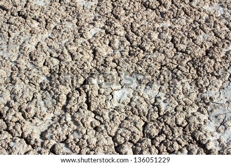 Dry Mud in Desert