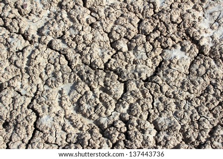 Dry Cracked Mud Background