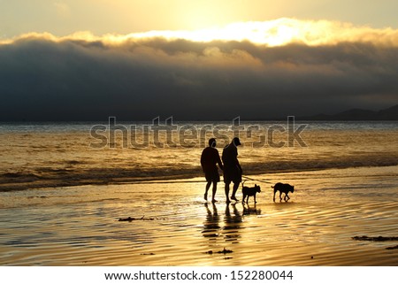 Walking Dogs On Beach At Sunset