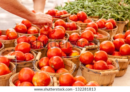 Customer choosing fresh organic red tomatoes at local farmers market