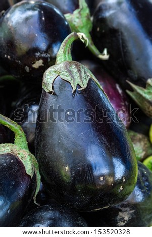 Display of organically grown purple eggplant at local farmers market