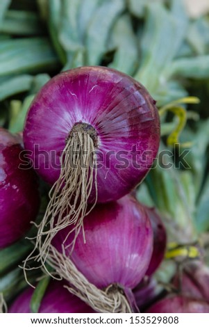 Locally grown bunches of purple onions for sale at local farmers market