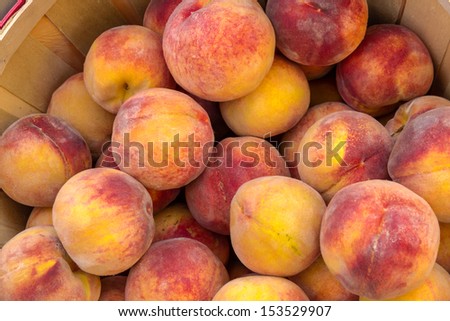 Close up of large bushel basket full of locally grown peaches at local farmers market