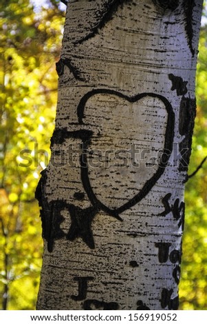 Single tree trunk with open heart carved on tree with yellow background
