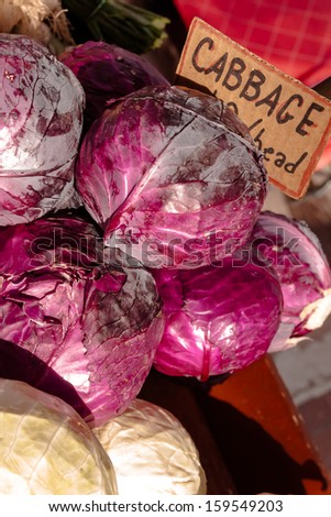 Locally grown purple cabbage heads for sale at local farmers market