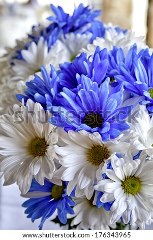 Brides wedding bouquet of brightly colored white and blue gerbera daisies sitting on table