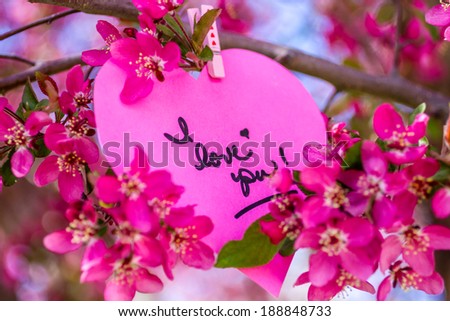 Pink heart with I love you message hanging on blooming crab apple tree